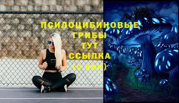 apvp Лабытнанги