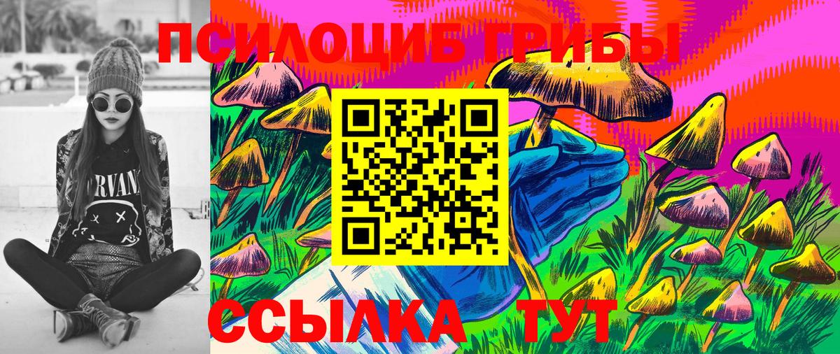 Галлюциногенные грибы Cubensis Октябрьский